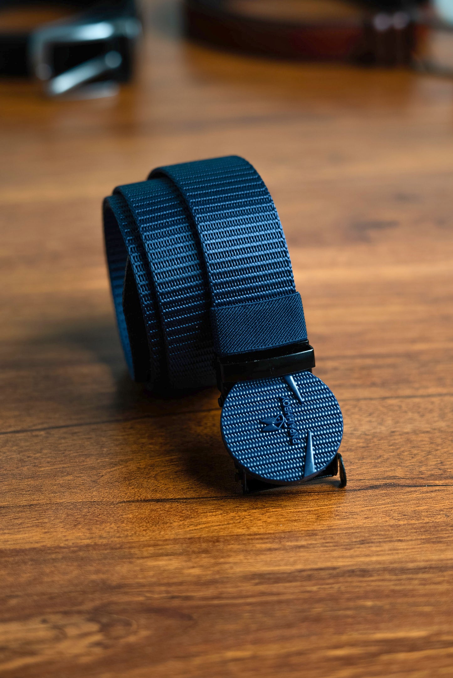 Blue Circle Nylon Belt