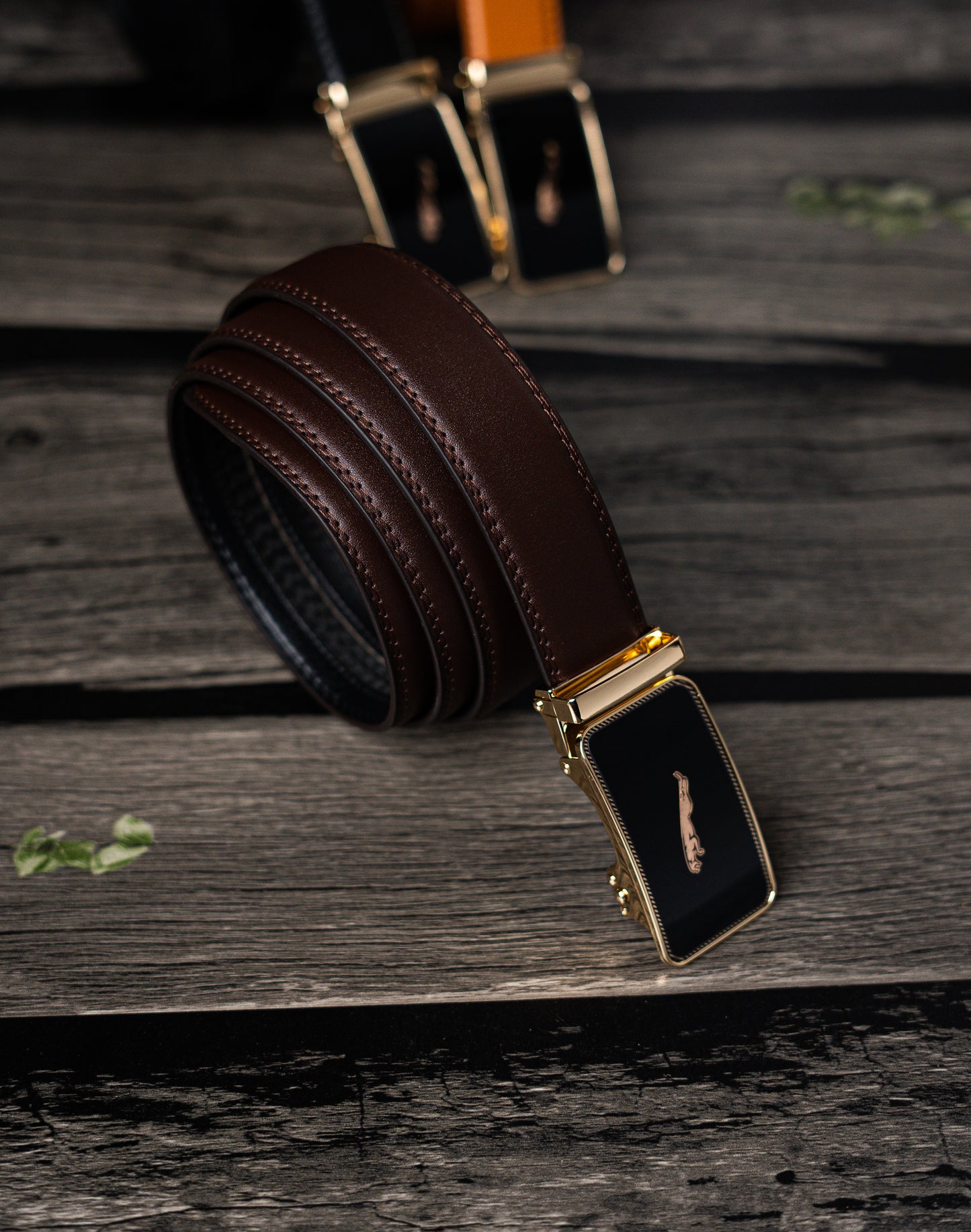 Brown Sage Premium Belt