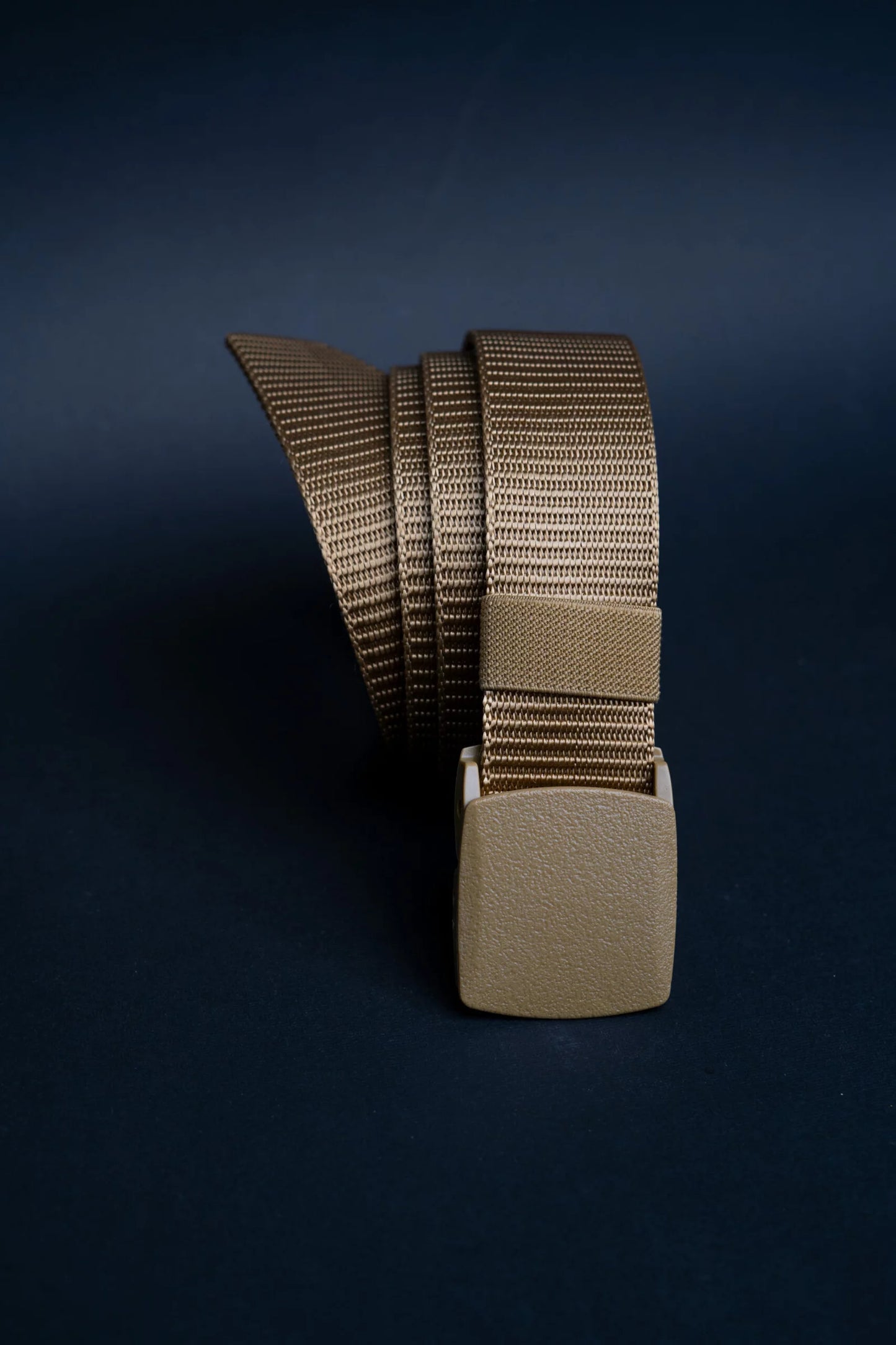 Golden Nylon Belt